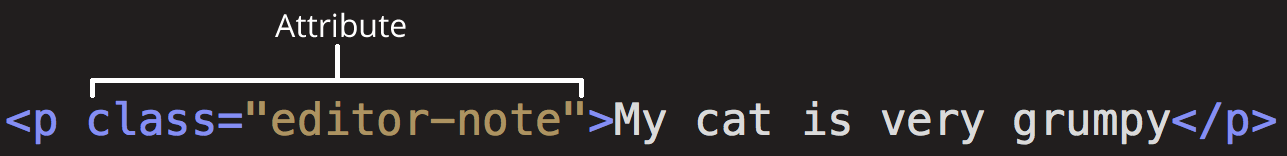 HTML Attribut